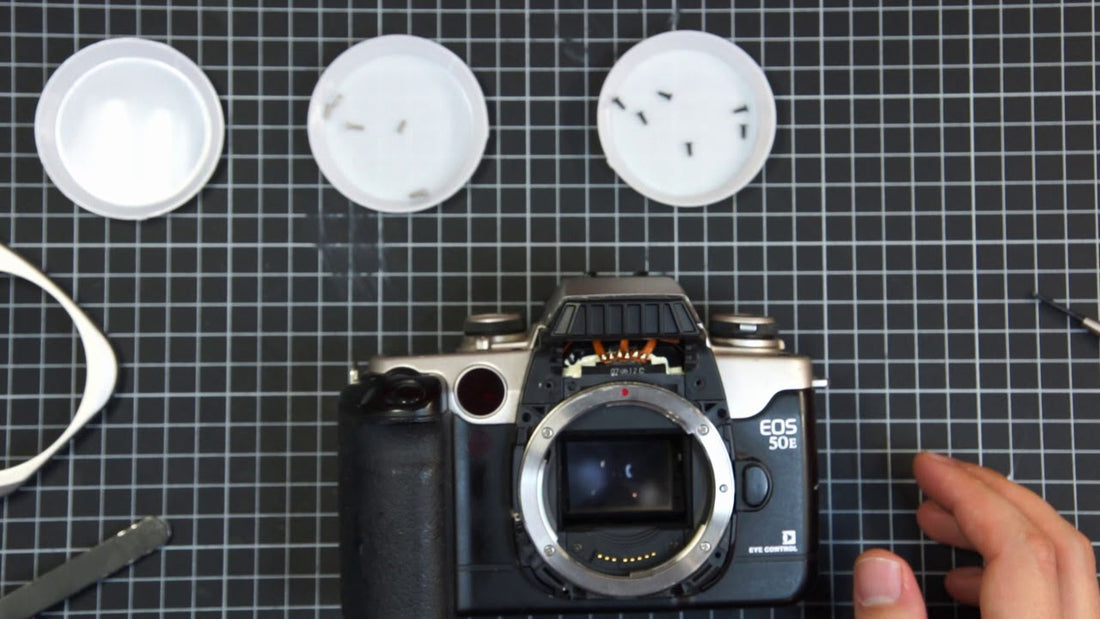 Canon EOS 50E / Elan II / EOS 55: Türverschluss (Latch) reparieren – Schritt‑für‑Schritt Anleitung