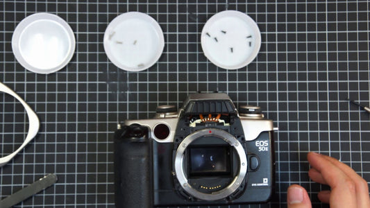 Canon EOS 50E / Elan II / EOS 55: Türverschluss (Latch) reparieren – Schritt‑für‑Schritt Anleitung