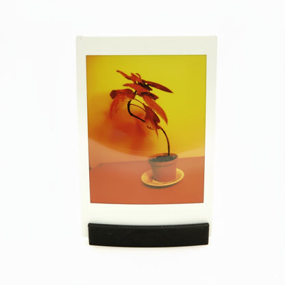 Set de soporte para fotos (3 piezas) para Polaroid, Instax Wide y Mini